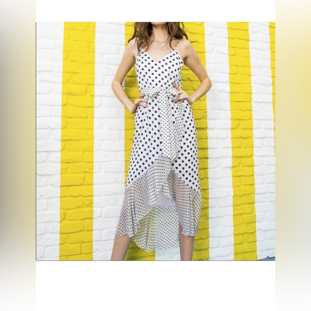 Alice and Olivia mable dress polka dot dress NWT size 4